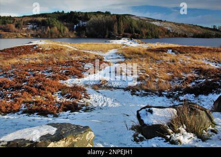 Loch Doon - Scozia Foto Stock