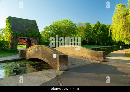 Mattina di primavera al Rowntree Park di York. Foto Stock