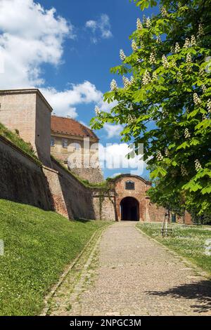 Castello di Špilberk, monumento della città di Brno, Moravia, Repubblica Ceca Foto Stock