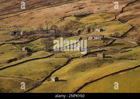 La frazione di Angram in alto Swaledale, Yorkshire Dales, Regno Unito Foto Stock