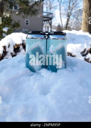 lattine di birra d'inverno nella neve d'inverno Foto Stock