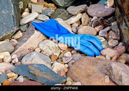 Primo piano di un guanto di gomma blu, ampiamente utilizzato nell'industria della lavorazione del pesce, trovato lavato tra le rocce e i ciottoli di una spiaggia. Foto Stock