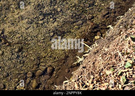 Acqua e riva vista dall'alto Foto Stock