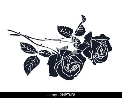 Due silhouette nera di rosa isolata su sfondo bianco. Illustrazione vettoriale. Illustrazione Vettoriale
