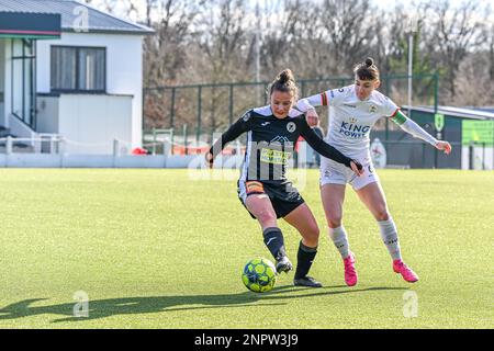 Oud Heverlee, Belgio. 26th Feb, 2023. Ulrike De Frere (11) di Aalst e Zenia Mertens (6) di Ohl, nella foto di una partita di calcio femminile tra Oud Heverlee Leuven ed Eendracht Aalst, il 21° matchday della stagione 2022-2023 della Lega belga Lotto Womens Super League , Domenica 26 febbraio 2023 a Oud Heverlee, Belgio. FOTO SPORTPIX | Stijn Audooren Credit: Sportpix/Alamy Live News Foto Stock