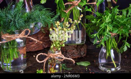 Vasetti con mazzetti di erbe verdi fresche da giardino biologico in piedi sul tavolo su uno sfondo scuro, basso tasto. Cucina ancora vita Foto Stock