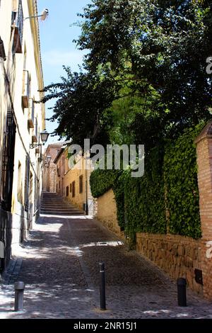 un pittoresco vicolo medievale con un muro di pietra coperto di vegetazione da un lato e bassi edifici con file di finestre dall'altro. Foto Stock