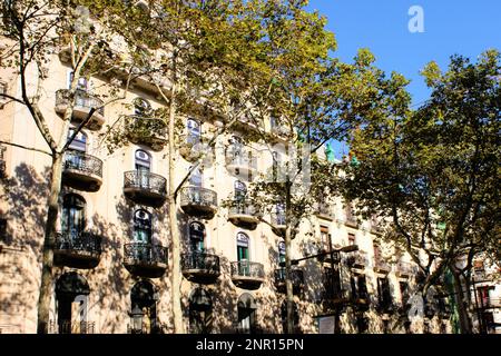Un bellissimo edificio di colore chiaro con file di finestre con balconi decorati dietro una fila di alberi che ombreggiano la sua facciata. Foto Stock