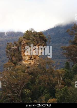 Un aspro affioramento di roccia arenaria sorge dagli alberi nel Blue Mountains National Park, NSW, Australia. Foto Stock