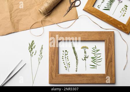 Composizione di posa piatta con cornici di fiori di prato secchi selvatici su sfondo bianco Foto Stock