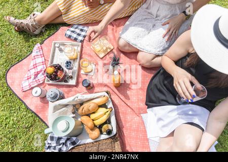 vista dall'alto delle amiche che si divertano con un picnic Foto Stock