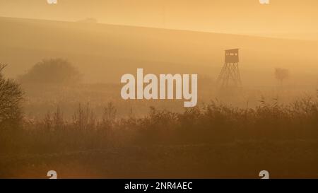 Splendidi campi moravi con viali di alberi avvolti nella nebbia mattutina. repubblica Ceca, Moravia, Repubblica Ceca Foto Stock