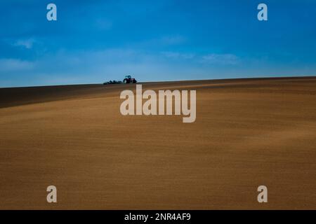 Lavorare con un trattore agricolo nei campi della Moravia. Un meraviglioso cielo blu. repubblica Ceca, Moravia, Repubblica Ceca Foto Stock