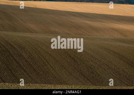 Splendido paesaggio aspro di campi moravi arati nella stagione autunnale. repubblica Ceca, Moravia, Repubblica Ceca Foto Stock