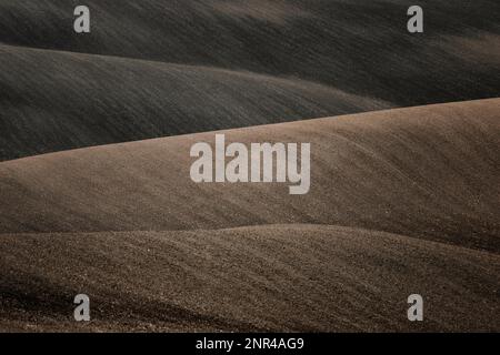 Splendido paesaggio aspro di campi moravi arati nella stagione autunnale. repubblica Ceca, Moravia, Repubblica Ceca Foto Stock