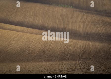 Splendido paesaggio aspro di campi moravi arati nella stagione autunnale. repubblica Ceca, Moravia, Repubblica Ceca Foto Stock