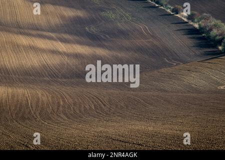 Splendido paesaggio aspro di campi moravi arati nella stagione autunnale. repubblica Ceca, Moravia, Repubblica Ceca Foto Stock