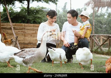 Famiglia asiatica con madre padre e figlio godere di nutrire verdura di anatra e oca in fattoria pubblica e sembrano felici di avere attività insieme con me Foto Stock