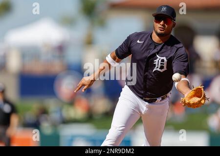 Lakeland FL USA; Detroit Tigers secondo baseman Jermaine Palacios (72) campi e capovolge la palla con il suo guanto per primo per il terzo fuori dell'interno Foto Stock