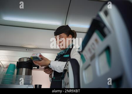 Assistente di volo o equipaggio di Flynass, una donna che lavora sull'aereo che serve cibo e bevande tradizionalmente conosciuto come una hostess dell'aria, hostess, steward, o Foto Stock