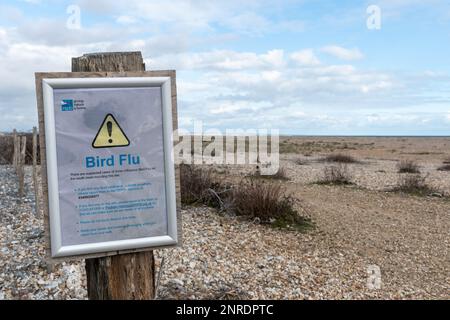 Cartello di influenza aviaria a Pagham Harbour RSPB Nature Reserve nel febbraio 2023, West Sussex, England, UK Foto Stock