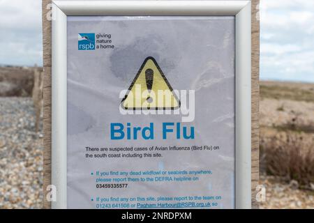 Cartello di influenza aviaria a Pagham Harbour RSPB Nature Reserve nel febbraio 2023, West Sussex, England, UK Foto Stock
