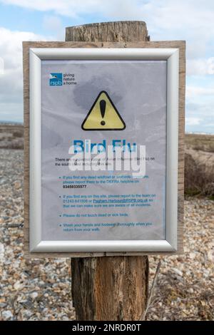 Cartello di influenza aviaria a Pagham Harbour RSPB Nature Reserve nel febbraio 2023, West Sussex, England, UK Foto Stock
