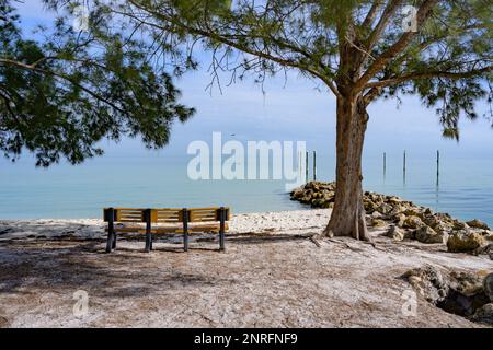 Panca sulla tranquilla spiaggia che si affaccia sulle acque calme Foto Stock