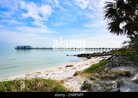 Molo e spiaggia in legno, isola Anna Maria Foto Stock