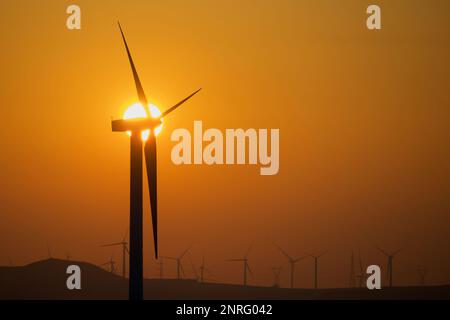 Silhouette di un gruppo di turbine eoliche all'alba su una collina. Foto Stock