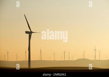 Silhouette di un gruppo di turbine eoliche all'alba. Foto Stock