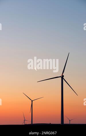 Silhouette di un gruppo di turbine eoliche all'alba. Foto Stock