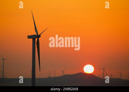 Silhouette di un gruppo di turbine eoliche all'alba su una collina. Foto Stock