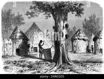 Albero di guerra o Trophy Tree Hung con Severed Caps of Rival Tribe in Nuer Village o African Village of Round Mud Huts nella regione del Nilo Bianco del Sud Sudan Africa. Vintage Engraving o Illustrazione 1862 Foto Stock