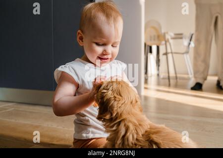 Bambina bambina che gioca con un cucciolo di maltipu sul pavimento Foto Stock