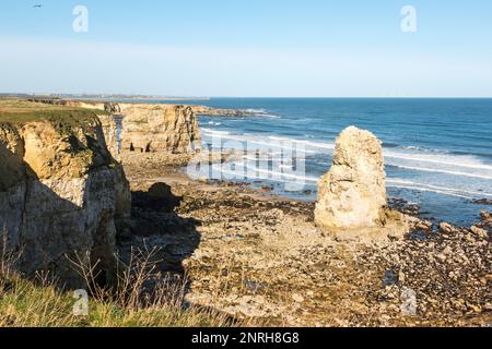 Marsden Bay con due pile di mare, la più grande roccia di Marsden, a South Shields, Inghilterra, Regno Unito Foto Stock