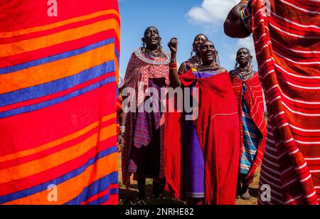 Un gruppo di donne Masai facendo una danza tradizionale nel villaggio Siana,Chyulu Hills National Park, Kenya Foto Stock