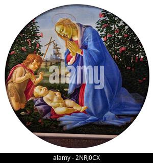 Madonna adornante il Bambino con S. Giovannino - tempera all’ uovo su tavola - Sandro Botticelli - XV secolo - Piacenza, Musei Civici di Palazzo fa Foto Stock