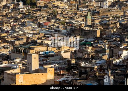 Tetti della medina di Fez. Il Marocco Foto Stock