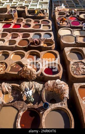 Chouwara concerie. Fez. Il Marocco Foto Stock