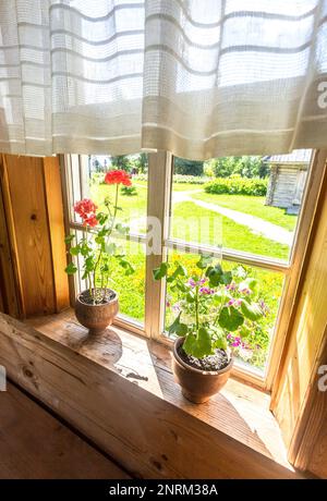 Fiori di geranio rosso in una pentola di ceramica sul davanzale di vecchia casa rurale di legno nella giornata di sole Foto Stock