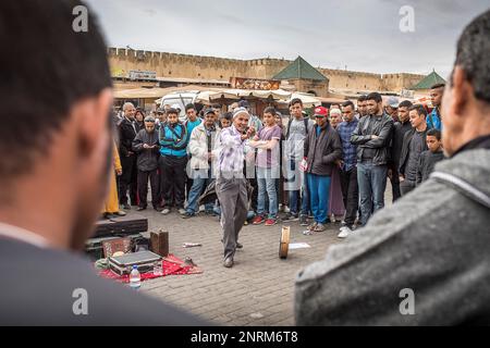 Mostra, l'artista di strada, El Hedim Square, Meknes, Marocco Foto Stock