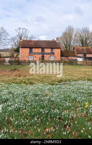 Il pub Purefoy Arms a Preston Candover Village, Hampshire, Inghilterra, Regno Unito, nel mese di febbraio con gocce di neve Foto Stock