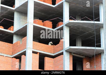 Due costruttori posano muri in mattoni in una nuova casa multi-appartamento in costruzione in Russia. Foto Stock