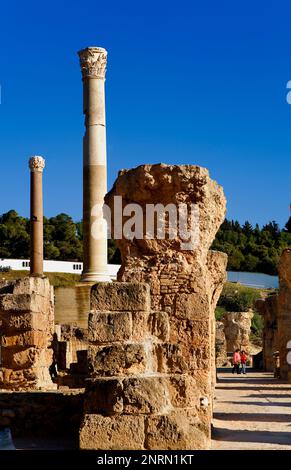 Tunez: Cartagine. The Antonine bagni termali (costruito su del II secolo D.C.). Foto Stock