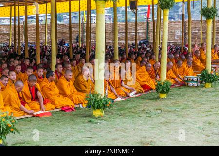 Monaci buddisti alla cerimonia religiosa di Paro. Bhutan Foto Stock