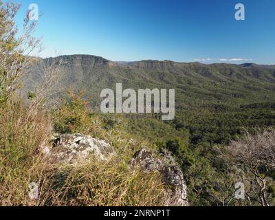 Vista sulla grande catena divisoria dal Main Range National Park, Queensland, Australia Foto Stock