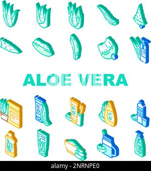 aloe vera pianta natura verde foglia icone set vettore Illustrazione Vettoriale