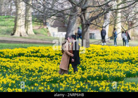 Londra, Regno Unito. 27 febbraio 2023. UK Weather: Una coppia condivide un momento tenero tra le narcisi che hanno appena iniziato a fiorire nel St James’s Park. Il MET Office ha suggerito che, a causa del riscaldamento improvviso della stratosfera (SSW), la neve potrebbe tornare in alcune zone del Regno Unito nel mese di marzo. Credit: Stephen Chung / Alamy Live News Foto Stock