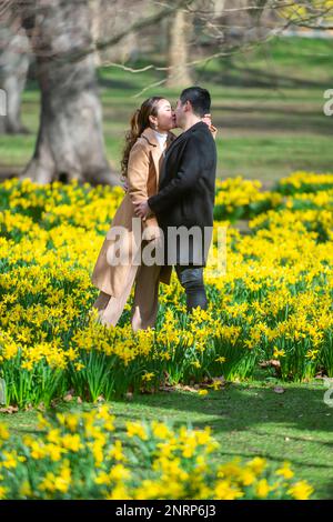 Londra, Regno Unito. 27 febbraio 2023. UK Weather: Una coppia condivide un momento tenero tra le narcisi che hanno appena iniziato a fiorire nel St James’s Park. Il MET Office ha suggerito che, a causa del riscaldamento improvviso della stratosfera (SSW), la neve potrebbe tornare in alcune zone del Regno Unito nel mese di marzo. Credit: Stephen Chung / Alamy Live News Foto Stock
